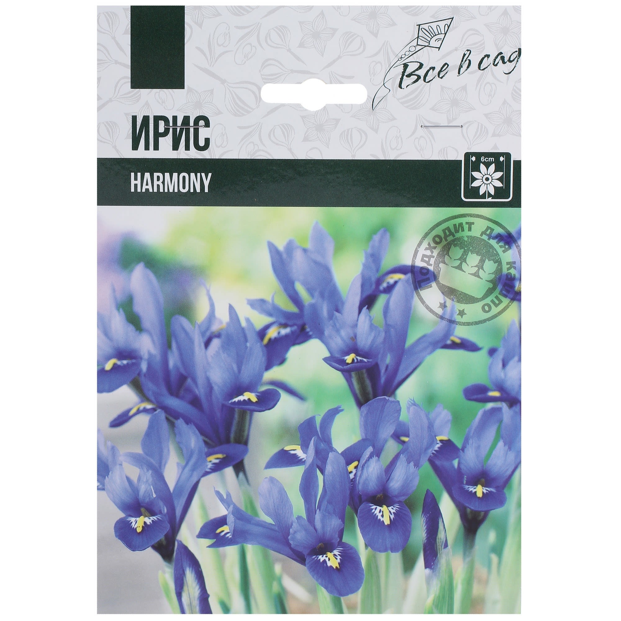 82004068 Ирис сетчатый «Гармония» Santreyd 