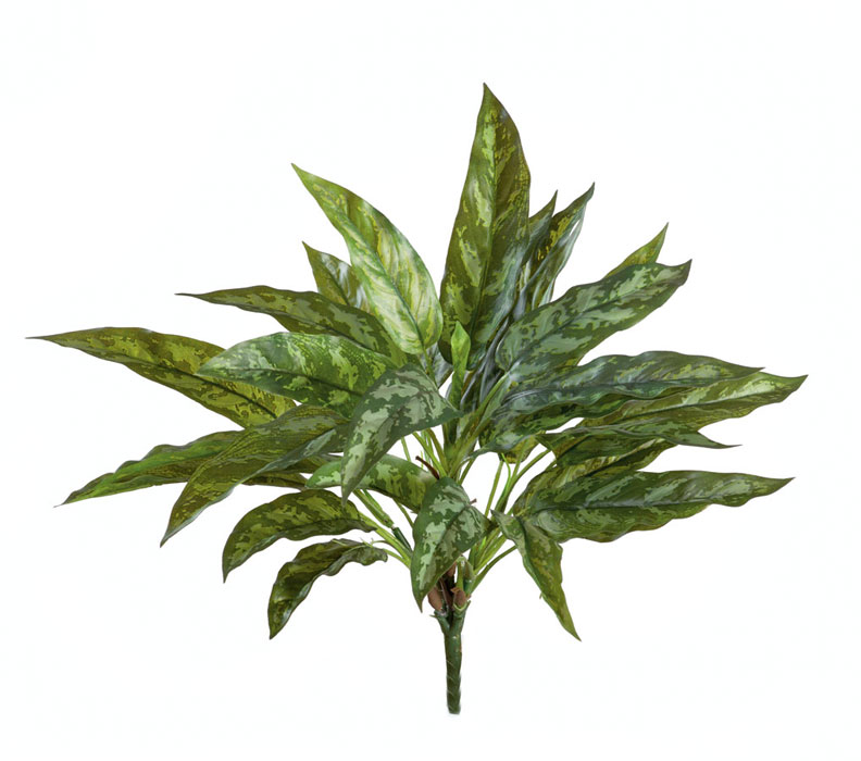 2000983170255 Сильвер Квин высота 40 см ROOMERS 