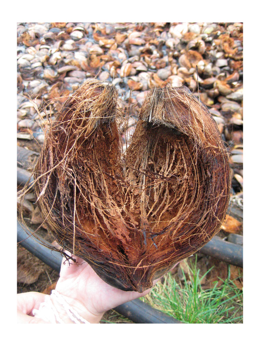 455505 Кокосовый коврик Buerstenwelt  - Вид №1