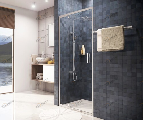 Berkel 48P13 Душевая дверь Santreyd 