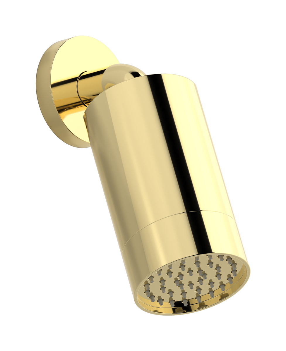 Верхний душ с Кронштейн для душа WE ARE IB id085oo_2 Pale Gold Spot