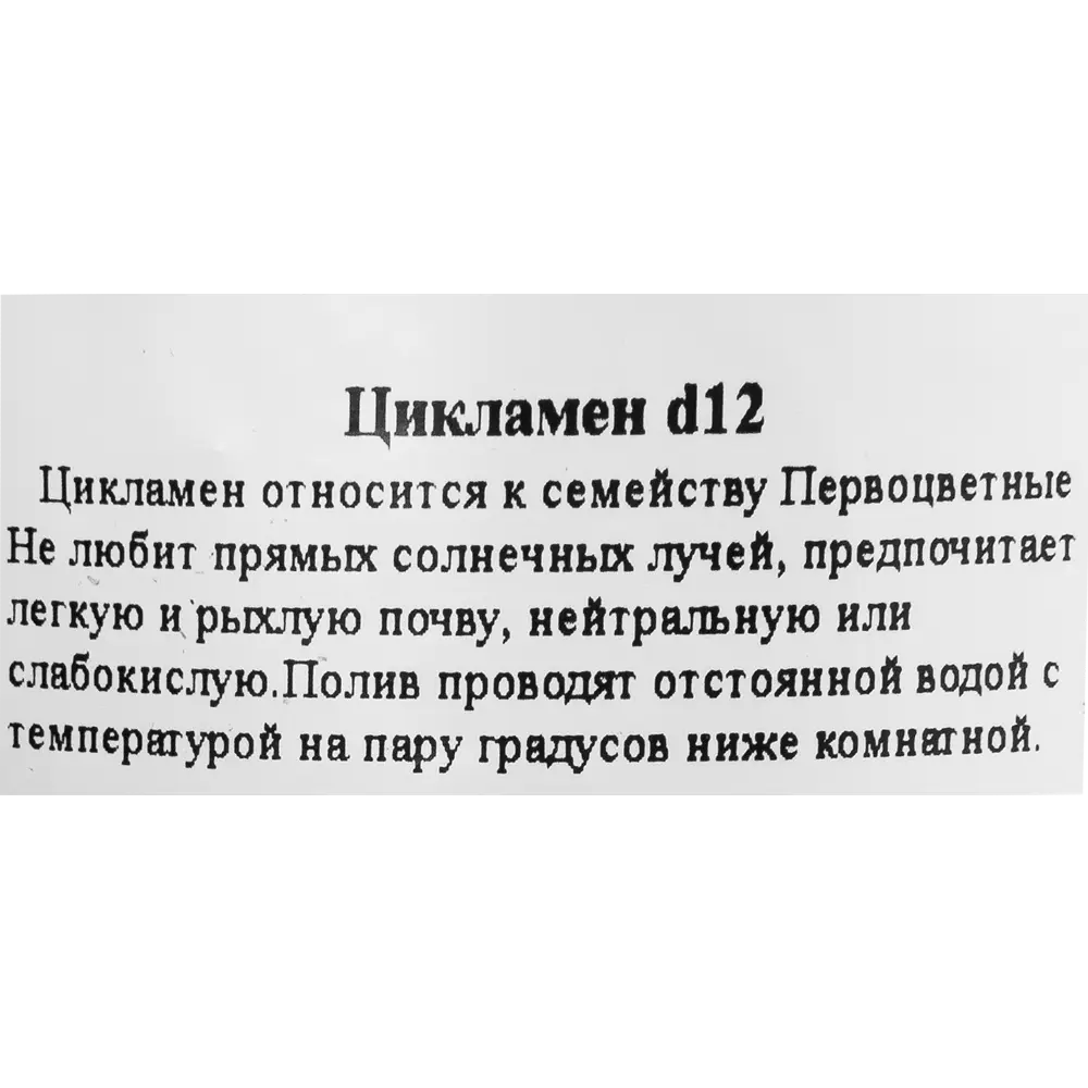Цикламен Santreyd - цветущее совершенство в горшке ø12 см 83248149 STLM-0039920 - Вид №2