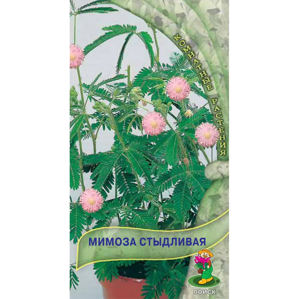 Семена Мимоза «Стыдливая» 82984199 STLM-2033069 ПОИСК 