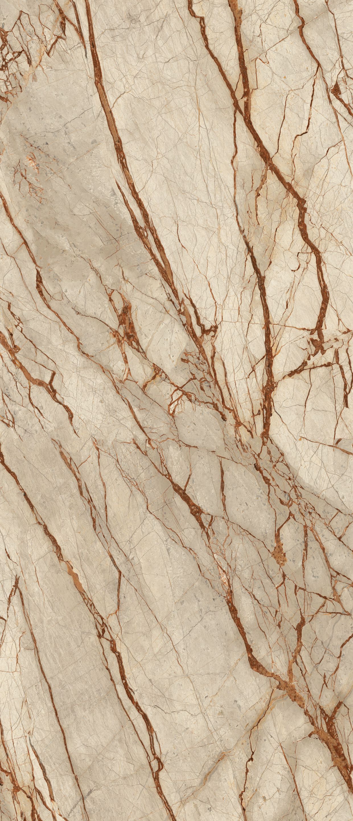 Пол / керамогранит с мраморным эффектом CERAMICA FONDOVALLE Infinito 2.0 ARCH-00001126 - Вид №6