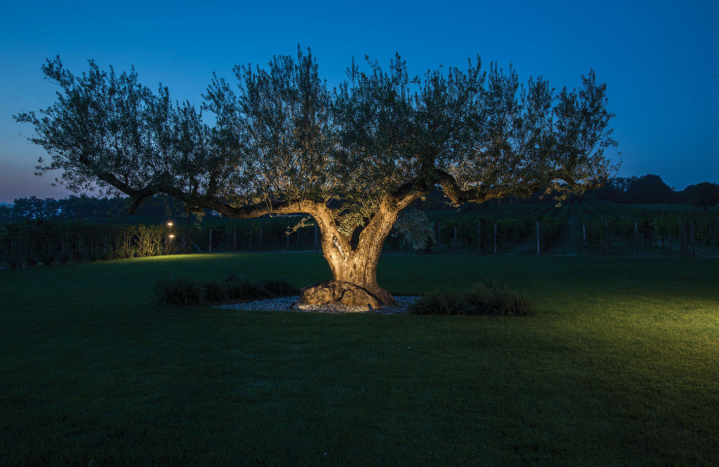 9405017 Проектор Platek NANO Proiettore  NANO Floodlight - 1 LED 3000K Elliptical  - Вид №8