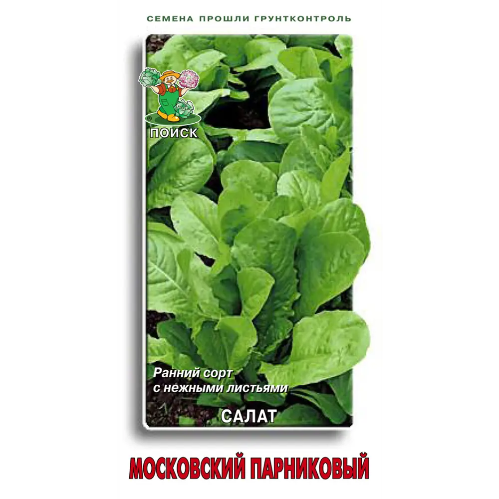 Семена Салат «Московский парниковый» 83227425 STLM-2159059 ПОИСК 