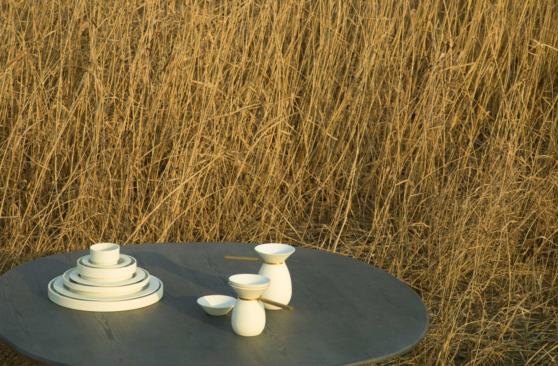 Арита Ликвид Stellar Works AR-LS3-S
AR-LS3-L
AR-LS3-C  - Вид №1