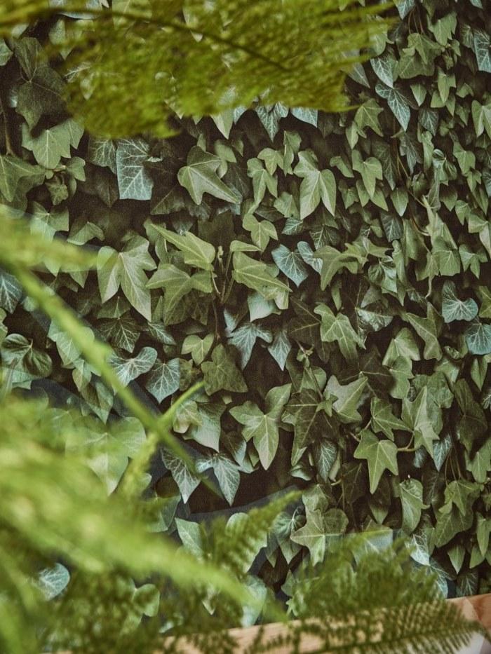 Koziel Обои на стену  8888-401  - Вид №2