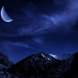 WP00115 Фотообои Verol Фотообои decoline 1х1 м