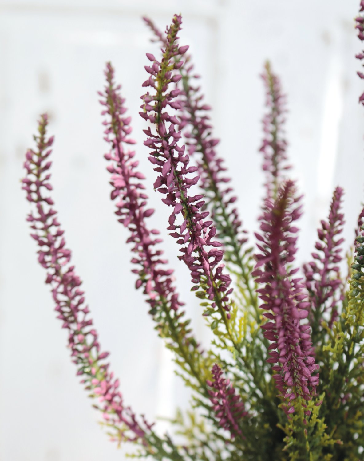 1711 222 a3 Искусственный куст эрики, 7 цветов, 32 см, темно-фиолетовый H-andreas 