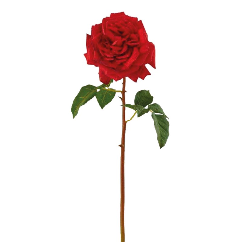 L27X12 Роза Regia Flower Adriani e Rossi 