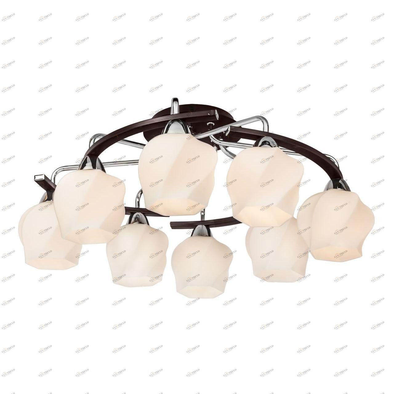 Потолочная люстра Silver Light Aranda 228.59.8 SILVER LIGHT ARANDA 183323 Белый 