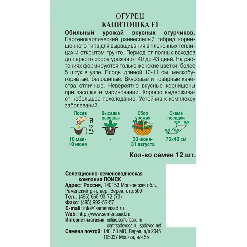Семена ПОИСК Огурец «Капитошка» F1 - ранний корнишон для засолки 82102362 STLM-0018965 - Вид №1