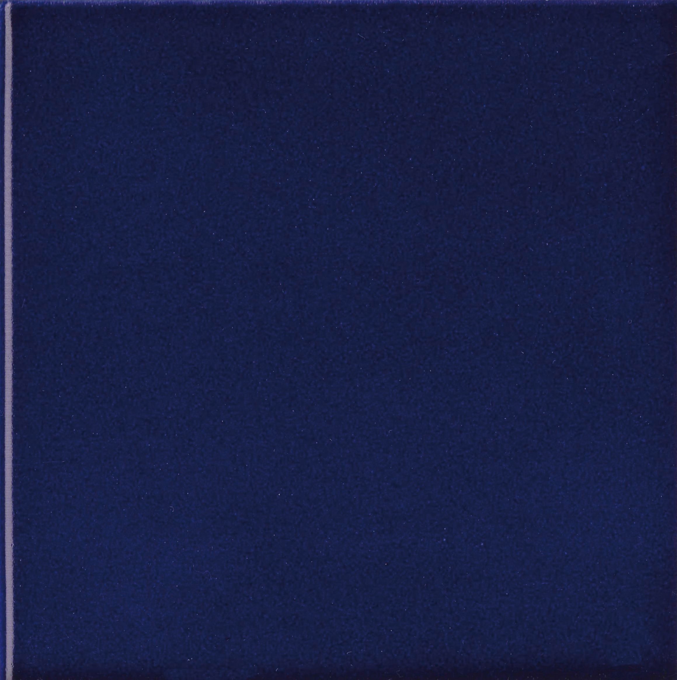 Пол / покрытие ручной работы La Riggiola одноцветный ARCH-00080124 - Вид №4