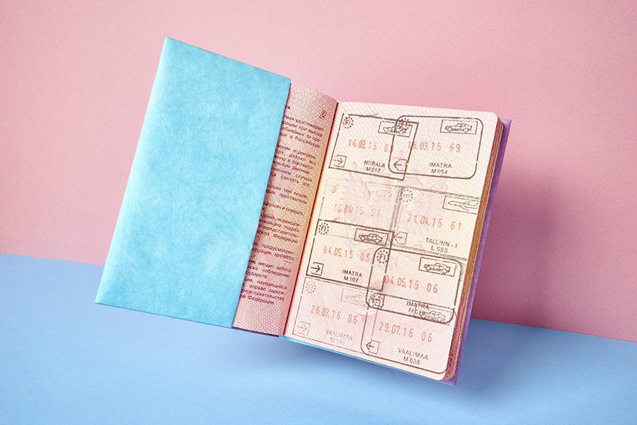 NC-010 Обложка на паспорт - new w New wallet  - Вид №1