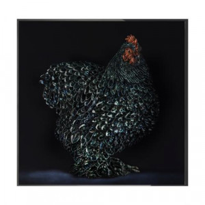 Gallo Cedrone Произведение искусства Visionnaire