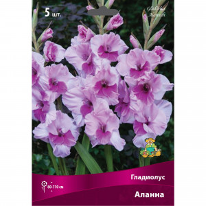 83596372 Гладиолус крупноцветковый Аланна луковица 12/14