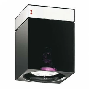 Светильник настенно-потолочный черный Fabbian D28E0102 FABBIAN  00-3882492 Черный