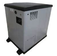 Бензиновый генератор REG GG12-380SV