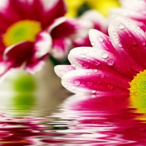 WP00339 Фотообои Verol Фотообои decoline 1х1 м