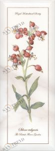 Ноттингем Цветы грань NT\A87\15005 15х40 Kerama Marazzi NTA8715005