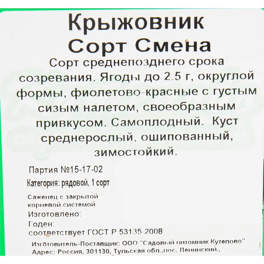 Крыжовник «Смена» C2 высота 40 см 82597090 STLM-2147510 Santreyd  - Вид №1