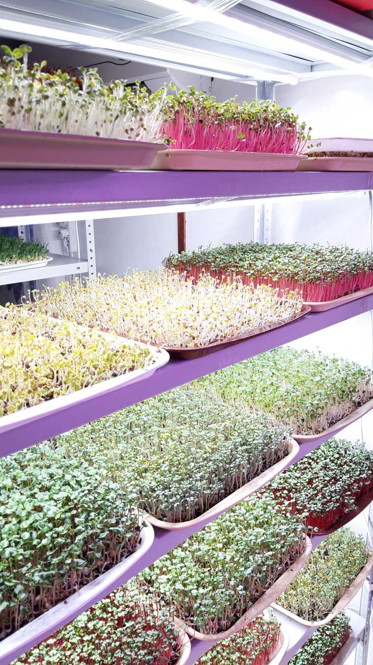 1035 Фитолампа для растений линейная VA-3 120 см Фулл комфорт 4000+660 LAB.Space  - Вид №9