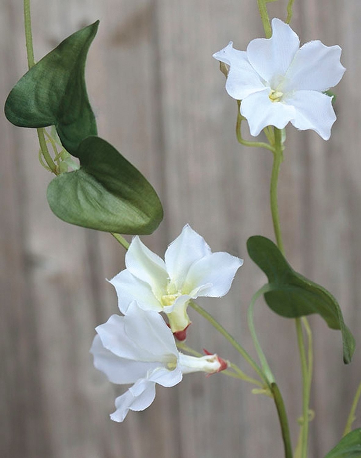 3620 778 a2 Ветка петунии искусственная, 90 см, бежево-белая H-andreas 