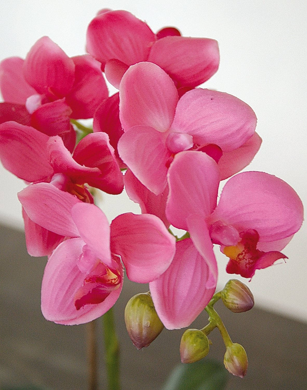 2610 515 a3 Искусственная орхидея Phalaenopsis, горшечная, 33 см, real touch, розовая H-andreas  - Вид №1