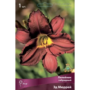 Лилейник гибридный Эд Мюррей