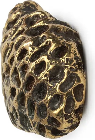 OC2019 Coralo PULLCAST Ocean Collection  - Вид №2