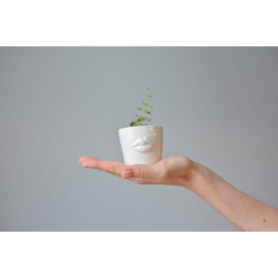 Набор для выращивания Eco мини-кашпо «Губы» ЭКОЧЕЛОВЕКИ MIN101 - Вид №3