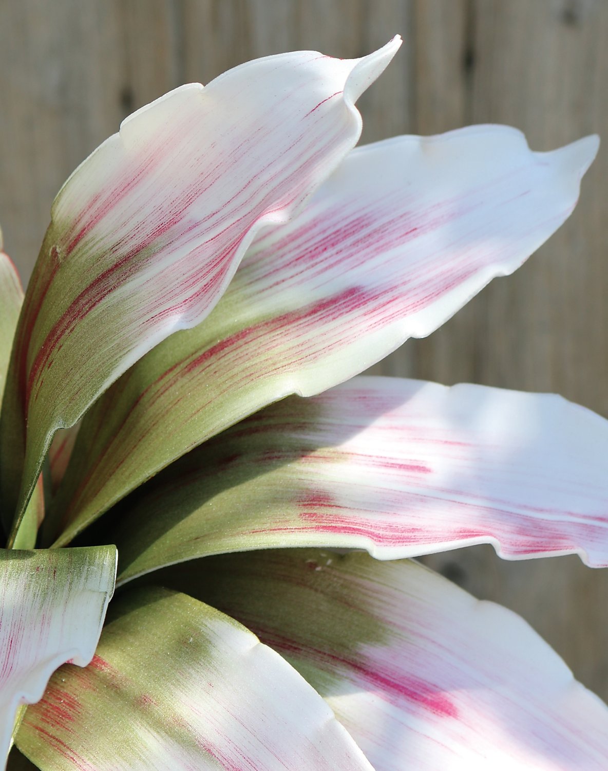 7955 508 a3 Искусственный мягкий цветок агавы, 90 см, розово-зеленый H-andreas  - Вид №1