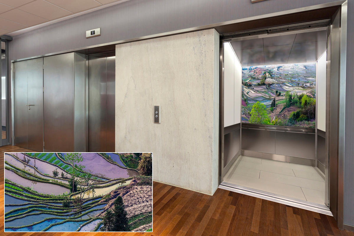 FSRT377 Стекло Vivispectra Zoom с прослойкой в ​​виде гвоздик Forms-surfaces  - Вид №19