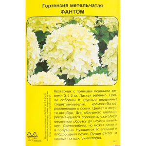 83786892 Гортензия метельчатая Фантом h40 см STLM-0966388
