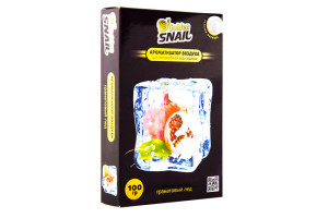 16241145 Ароматизатор под сиденье Гранатовый Лед GS6011 Golden Snail