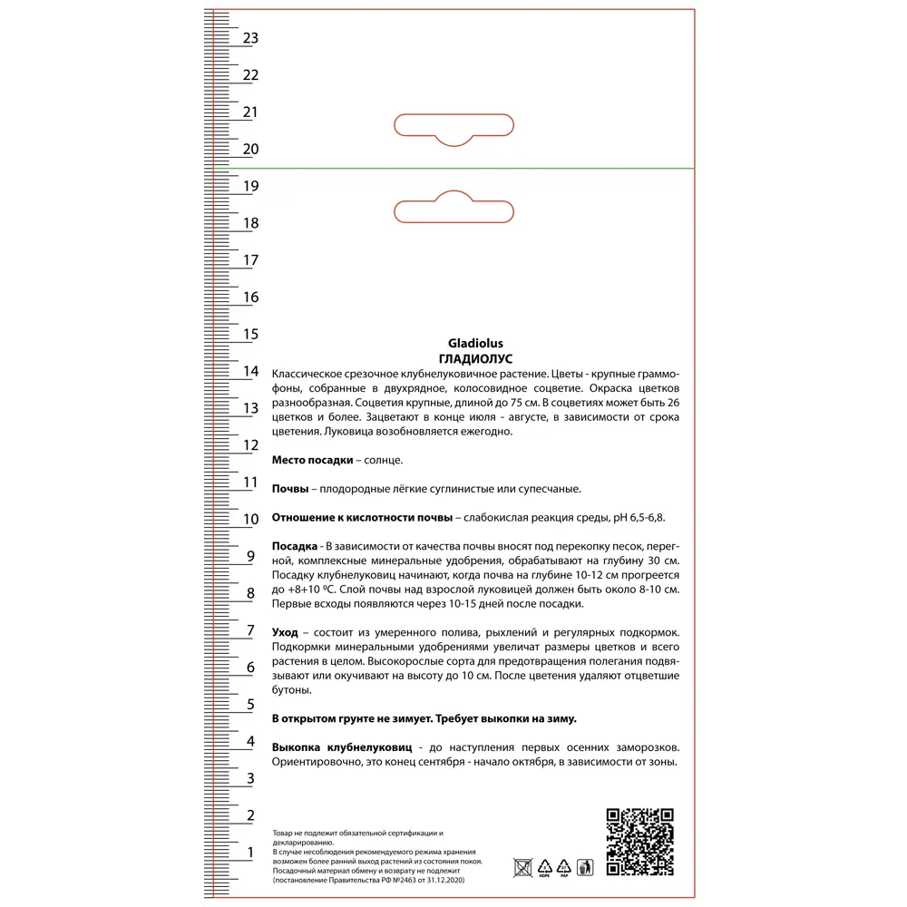 Гладиолус крупноцветковый Пинк Соледо 2 шт ПОИСК STLM-2059067 - Вид №1