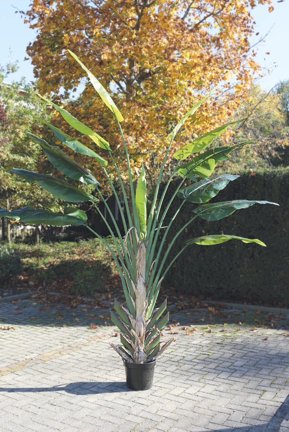 5895 883 a3 Искусственная геликония, горшечная, 300 см, зеленая H-andreas  - Вид №4