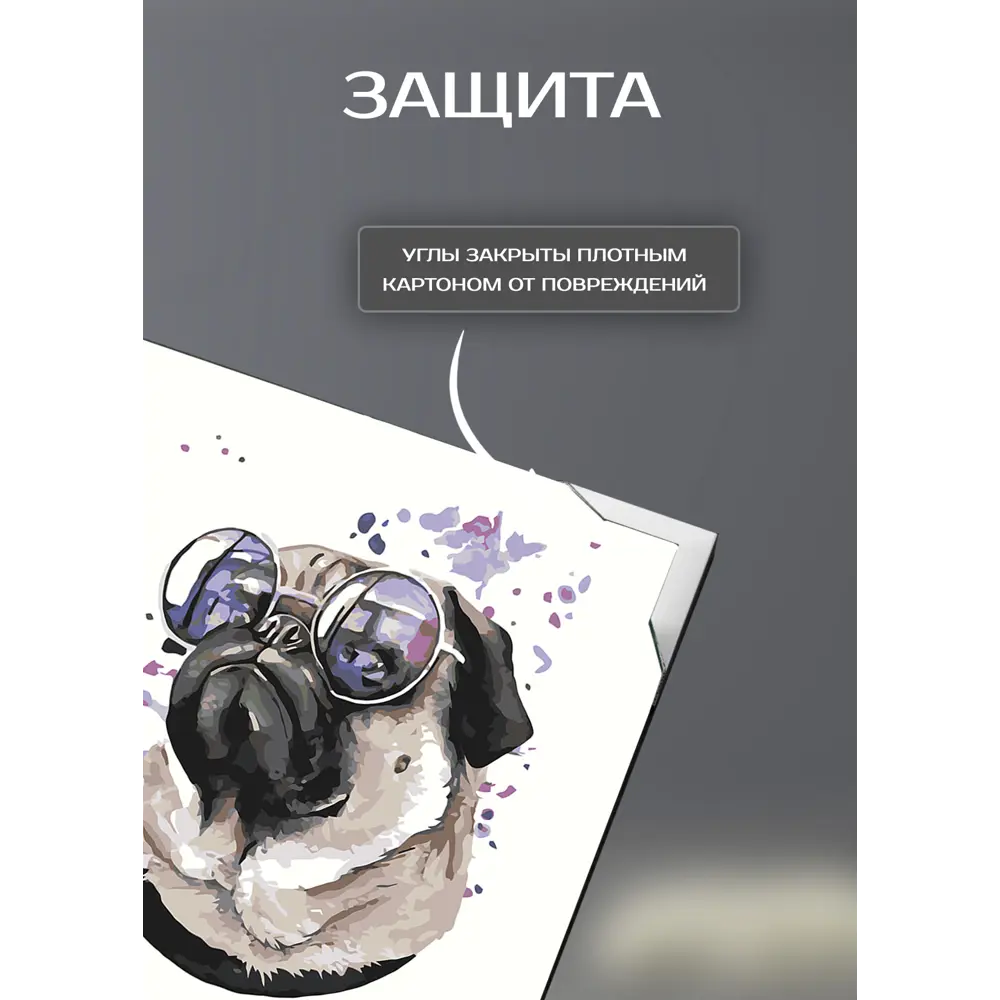 Картина на холсте Мопс 30x30 см FBRUSH STLM-2101025 - Вид №4