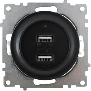 Розетка Onekeyelectro USB двойная встраиваемая с подсветкой цвет чёрный