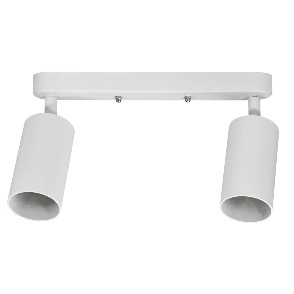 Поворотный спот Ritter Arton с двумя лампами GU10 для точечного освещения 83979296 STLM-0045771 - Вид №1