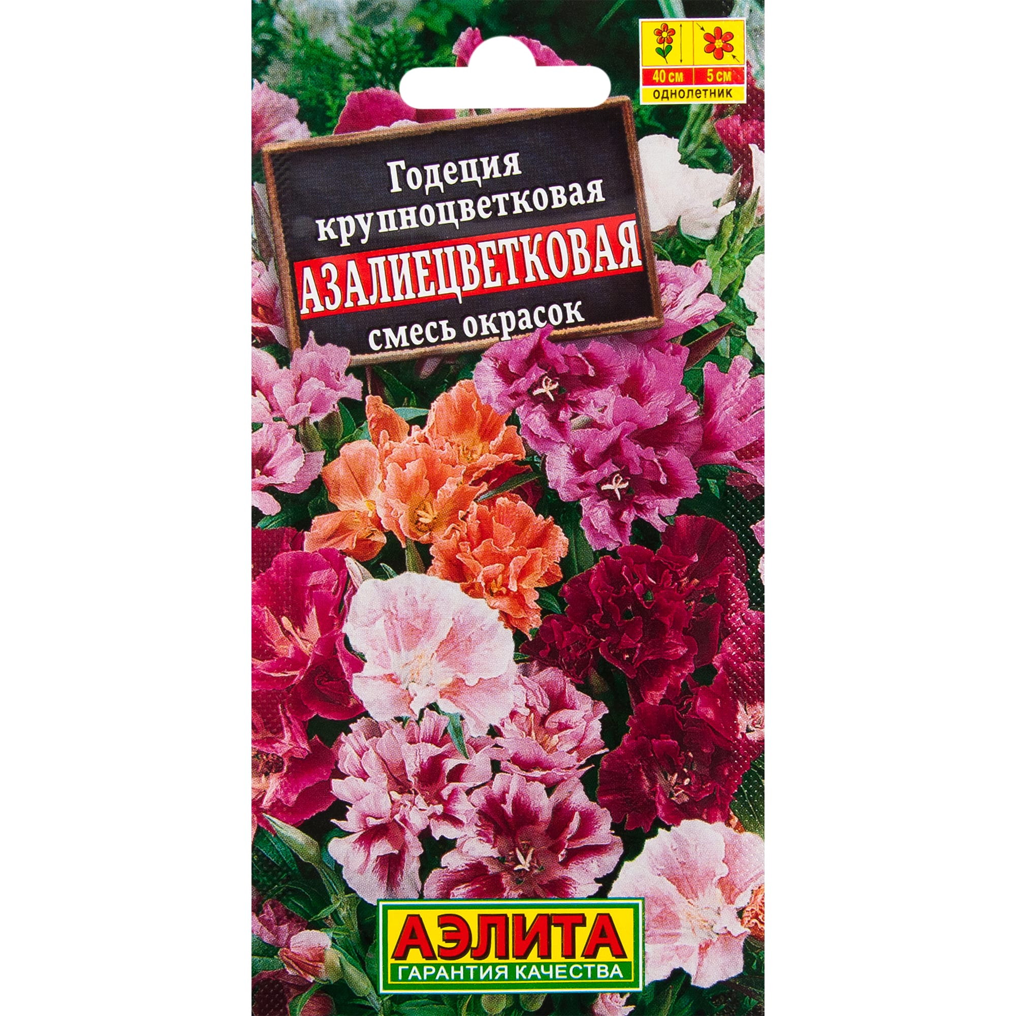 12158278 Семена цветов Годеция азалиецветковая микс Santreyd 