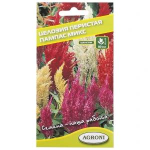 Целозия перистая «Пампас» микс