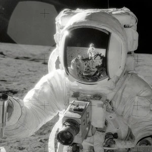 C1-329 Фотообои DIVINO Collection C 1.47х2 м