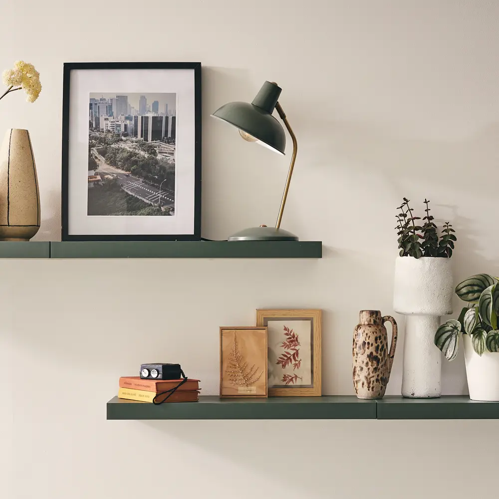 Полка настенная Spaceo Cactus 1 60x23.5 см МДФ цвет кактус 82877526 STLM-2035011 