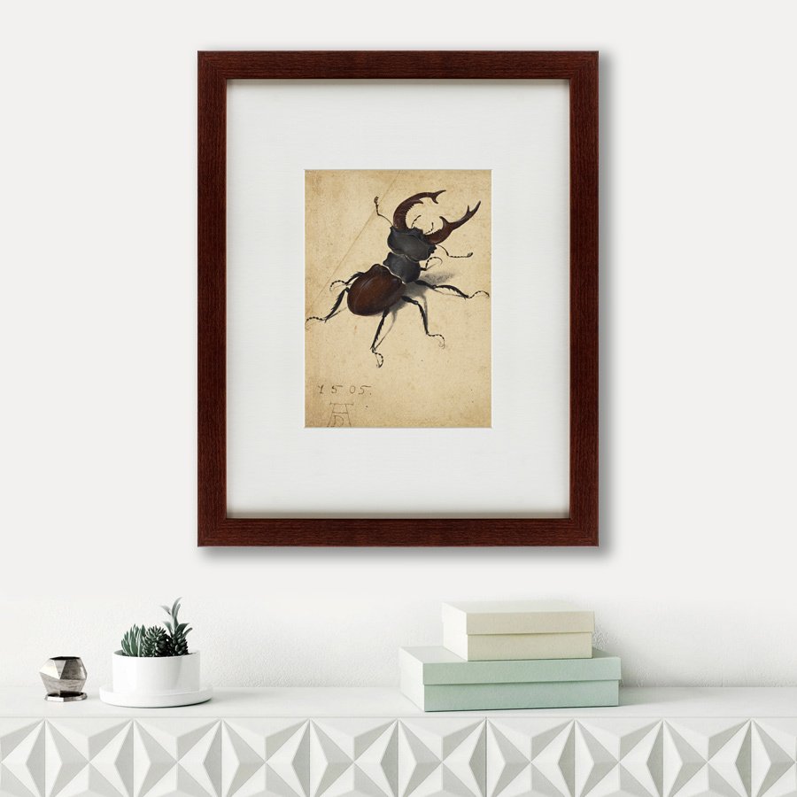 Картина: Stag Beetle, 1505 КАРТИНЫ В КВАРТИРУ  135745 Разноцветный  - Вид №1