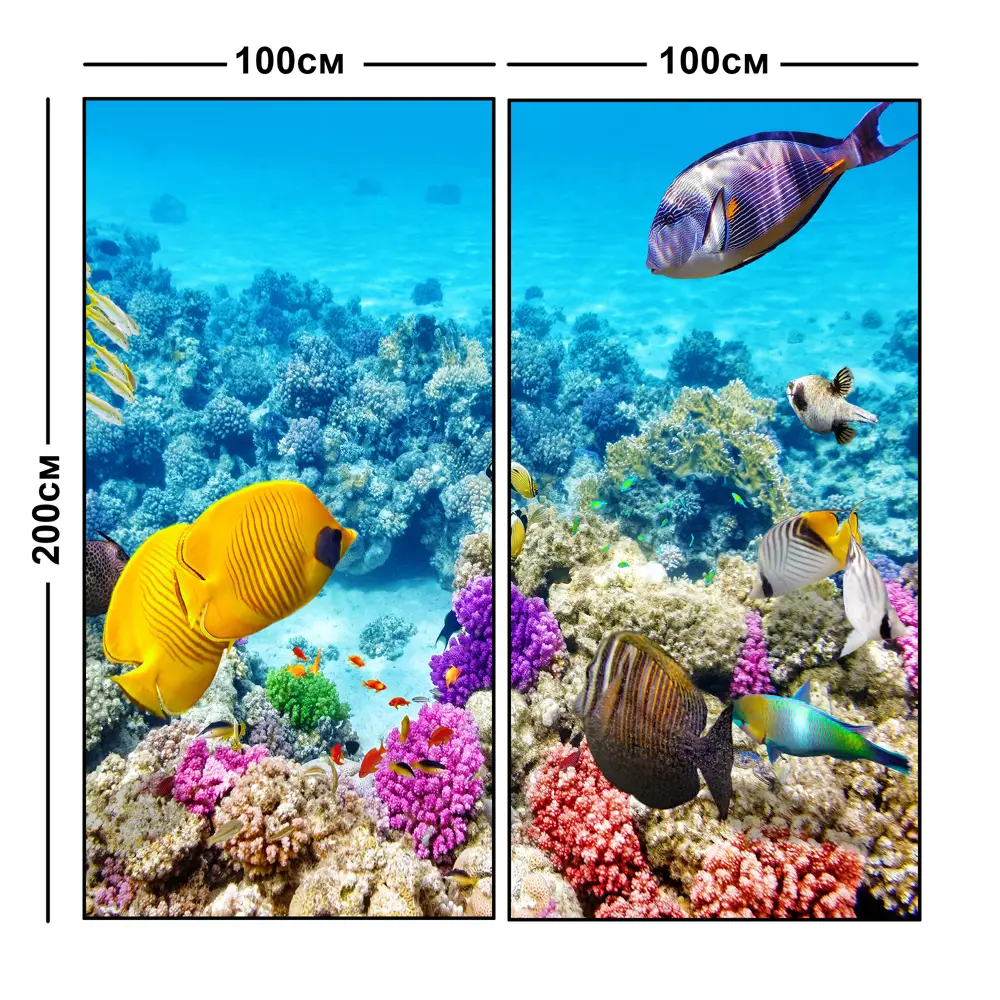 Фотообои флизелиновые Подводный мир 200x200 см МОСКОВСКАЯ ОБОЙНАЯ ФАБРИКА Malex factory STLM-2178026 - Вид №2