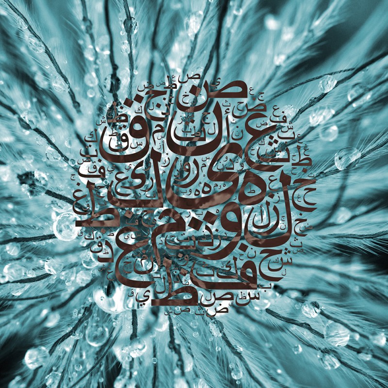 2141/CX38 Картина 2141 Adriani e Rossi 