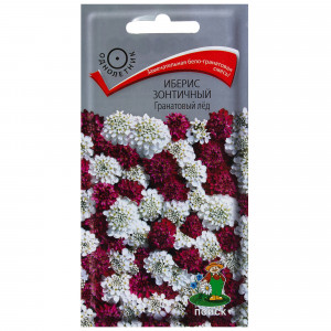 17229637 Иберис зонтичный «Гранатовый лед»