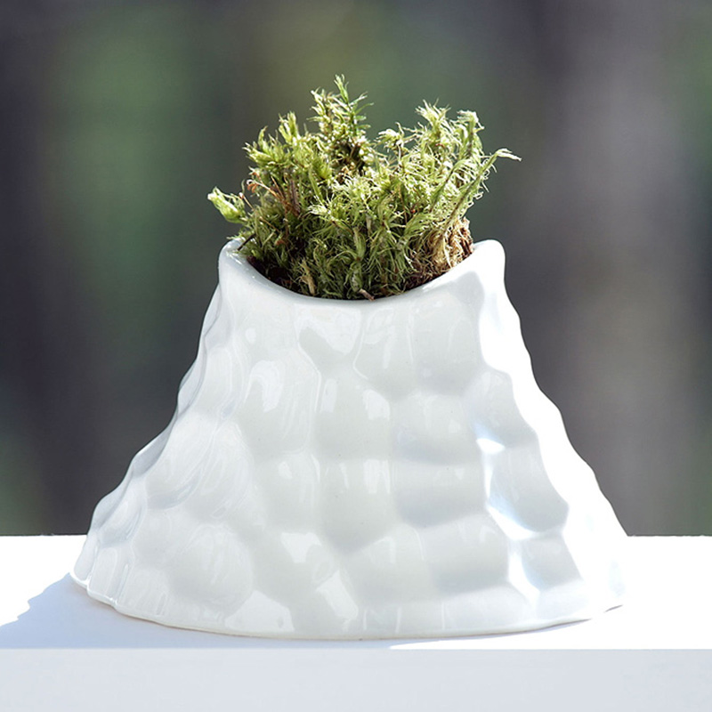 8004-v Набор для выращивания eco вулкан Экочеловеки 